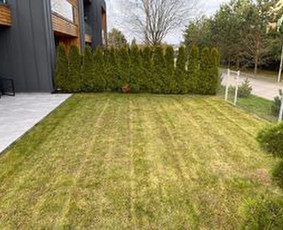 Aplinkos priežiūra / tvarkymas / MB VO projektai / Darbų pavyzdys ID 3260631