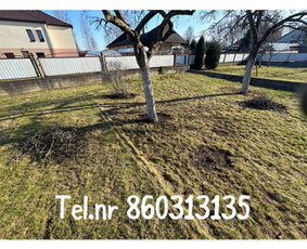 Medžių genėjimas*gyvatvorių karpymas*aplinkos tvarkymas / Zigmas / Darbų pavyzdys ID 3261181