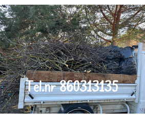 Medžių genėjimas*gyvatvorių karpymas*aplinkos tvarkymas / Zigmas / Darbų pavyzdys ID 3261193