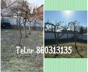 Vejos pjovimas-aplinkos priežiūra, tvarkymas. / Zigmas / Darbų pavyzdys ID 3261209