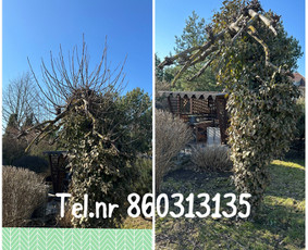 Vejos pjovimas-aplinkos priežiūra, tvarkymas. / Zigmas / Darbų pavyzdys ID 3261213
