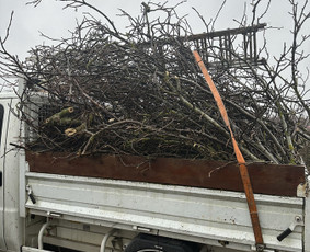 Vejos priežiūra, įrengimas - Vejos pjovimas-aplinkos priežiūra, tvarkymas. - 2