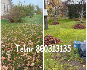 Vejos pjovimas-aplinkos priežiūra, tvarkymas. / Zigmas / Darbų pavyzdys ID 3261271