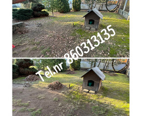 Medžių genėjimas*gyvatvorių karpymas*aplinkos tvarkymas / Zigmas / Darbų pavyzdys ID 3261279