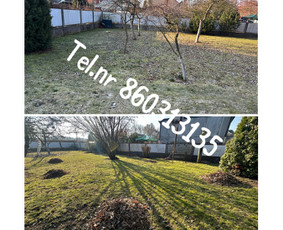 Medžių genėjimas*gyvatvorių karpymas*aplinkos tvarkymas / Zigmas / Darbų pavyzdys ID 3261281