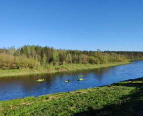 Baidarių nuoma Vilniuje / po 1 upe / Darbų pavyzdys ID 3262357