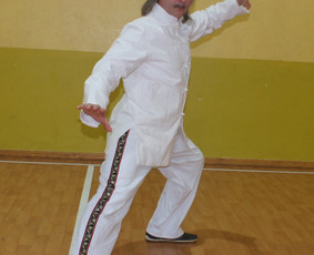 Unikalus Kung fu mokymas - vidinės taikos menas - Wing Chun Kung Fu treneriai - 2 Wing Chun Kung Fu treneriai - Unikalus Kung fu mokymas - vidinės taikos menas - 2