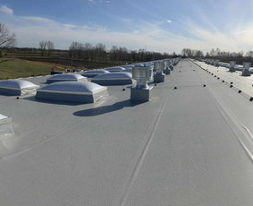 Plokščių Stogų Dengimas Pvc, Epdm ir bitumine Danga / Tvirti stogai / Darbų pavyzdys ID 3265099