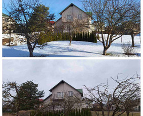 Vaismedžių/medžių genėjimas, gyvatvorių karpymas, šienavimas / Pavelas / Darbų pavyzdys ID 3266753