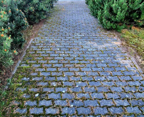 Trinkelių,terasų,fasadų,kietų paviršių plovimas / Švaros Švyturys / Darbų pavyzdys ID 3267505