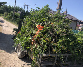 Mini ekskavatoriaus nuoma su operatoriumi 1.7t / VelKasaa / Darbų pavyzdys ID 3268537