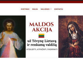 Interneto svetainių kūrimas, El. parduotuvių kūrimas / Jonas / Darbų pavyzdys ID 3268701