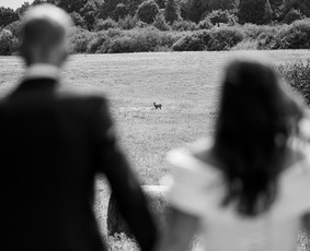 Vestuvių / krikštynų fotografas. Jaukios ir tikros istorijos / Karolis Bivainis / Darbų pavyzdys ID 3268823