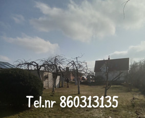 Vejos pjovimas-aplinkos priežiūra, tvarkymas. / Zigmas / Darbų pavyzdys ID 3269265