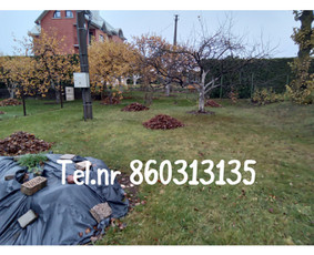 Medžių genėjimas*gyvatvorių karpymas*aplinkos tvarkymas / Zigmas / Darbų pavyzdys ID 3269269