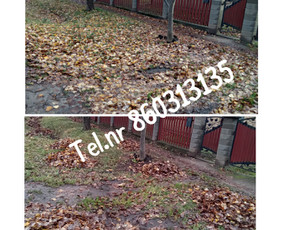 Medžių genėjimas*gyvatvorių karpymas*aplinkos tvarkymas / Zigmas / Darbų pavyzdys ID 3269273