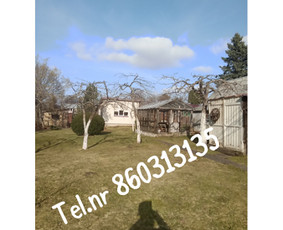 Medžių genėjimas*gyvatvorių karpymas*aplinkos tvarkymas / Zigmas / Darbų pavyzdys ID 3269277