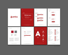 Firminio stiliaus kūrimas - Brandingas / Logotipų kūrimas / Web dizainas (Figma) - 1