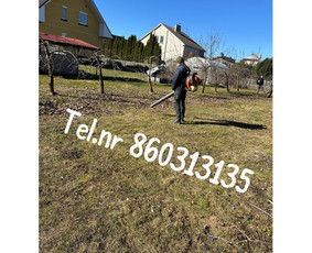 Medžių genėjimas*gyvatvorių karpymas*aplinkos tvarkymas / Zigmas / Darbų pavyzdys ID 3272113