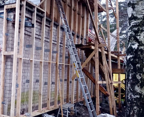 Nebrangus nagingi mistrai / Kestas Petraitis / Darbų pavyzdys ID 3272767