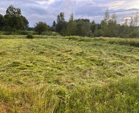 Pievų šienavimas - Aplinkos priežiūra / tvarkymas - 4