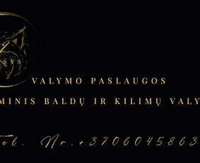 Valymo paslaugos / 2Lūšys / Darbų pavyzdys ID 3274283