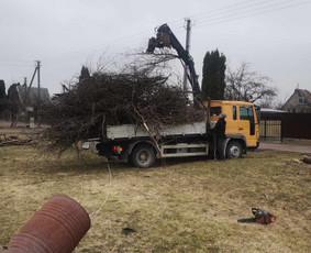 Visi griovimo-kasimo,išvežimo darbai - Šakų išvežimas - 2 Šakų išvežimas - Visi griovimo-kasimo,išvežimo darbai - 2