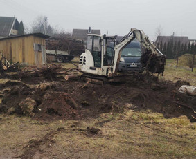 Visi griovimo-kasimo,išvežimo darbai / Tomas / Darbų pavyzdys ID 3276267
