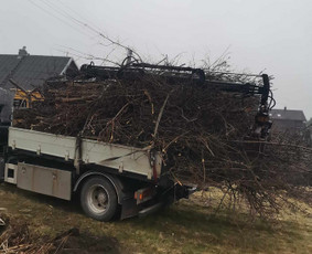 Visi griovimo-kasimo,išvežimo darbai / Tomas / Darbų pavyzdys ID 3276275