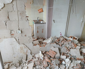 Griovimo darbai šiukšliu išvežimas / Audrius / Darbų pavyzdys ID 3276553