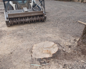 Sklypų valymas, pagrindų, trinkelių dangos, vejos įrengimas - Šakų smulkinimas - 2 Šakų smulkinimas - Sklypų valymas, pagrindų, trinkelių dangos, vejos įrengimas - 2
