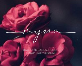 Logotipų kūrimas - Identiteto Architektūra ir vizualinis autoritetas - 3