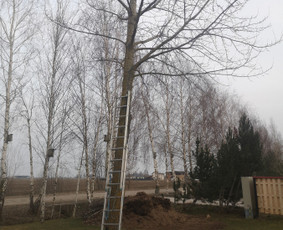 Avarinių medžių pjovimo paslaugos. / Rimas. M.- (Aboristas) / Darbų pavyzdys ID 3282231