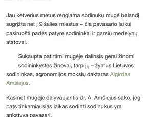 Reklama ir socialinių tinklų administravimas / Verba Perfecta / Darbų pavyzdys ID 3284485