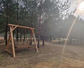 Voverių slėnis / Kęstutis Po / Darbų pavyzdys ID 3284987