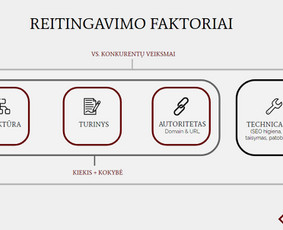 SEO optimizavimas - Seo ir Ai Seo paslaugos Lietuvos ir užsienio projektams - 4