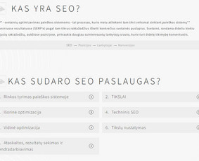 Seo ir Geo paslaugos Lietuvos ir užsienio projektams / UAB Market Rats / Darbų pavyzdys ID 3287021