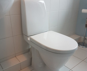 Santechnikos darbai. Santechnikas Panevėžyje / Mindaugas / Darbų pavyzdys ID 3287601