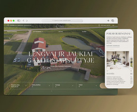 Shopify El. Parduotuvių Kūrimas ir Programavimas / Shopify Programuotojas / Darbų pavyzdys ID 3287669