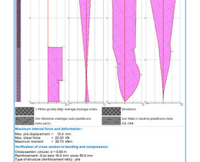 Statinių konstrukcijų projektavimas ir konstrukcijų tyrimai / Gintaras Jocius / Darbų pavyzdys ID 3291231