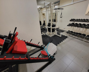 Asmeninės treniruotės individualioje sporto salėje 1n1 / Linas Petraitis / Darbų pavyzdys ID 3291623
