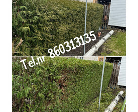 Vejos pjovimas-aplinkos priežiūra, tvarkymas. / Zigmas / Darbų pavyzdys ID 3292951
