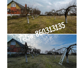 Vejos pjovimas-aplinkos priežiūra, tvarkymas. / Zigmas / Darbų pavyzdys ID 3292953