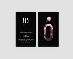 15 m. patirtis. Logo / Brand / Pakuotės / Kristina Galdikaitė / Darbų pavyzdys ID 625979