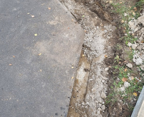 Aplinkos tvarkymas, apželdinimas - Aplinkotvarka.medziu pjovimas,sodybu tvarkymas/ - 4