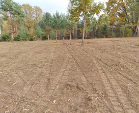 Aplinkos tvarkymas, apželdinimas - Aplinkotvarka.medziu pjovimas,sodybu tvarkymas/ - 3
