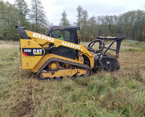 Aplinkos tvarkymas, apželdinimas - Aplinkotvarka.medziu pjovimas,sodybu tvarkymas/ - 2