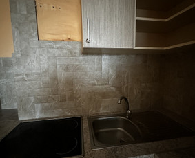 Plytelių darbai / Dmytro Oliinik / Darbų pavyzdys ID 3293949