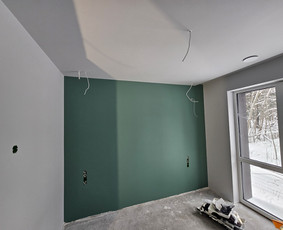 Glaistymo, dažymo, apdailos darbai / Glaistymo dažymo darbai / Darbų pavyzdys ID 3293957