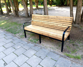 Metalo gaminiai / Metalo plazma / Darbų pavyzdys ID 3294387